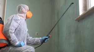 Why You Should Choose Our Mold Remediation Services in Girard, PA